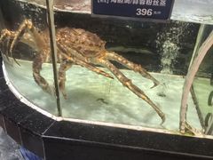 -百鱼庄(仙葫店)