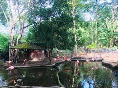 -清迈夜间动物园