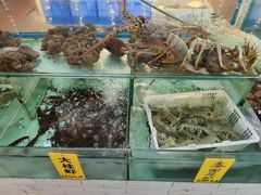 -寻味顺德·南记酒家·传统顺德菜·鱼生(广源路店)