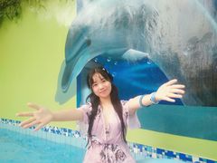 -重庆海昌加勒比海水世界