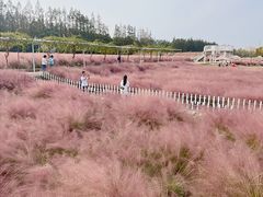 -嘉北郊野公园