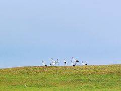 -黑龙江扎龙生态旅游区
