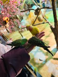 -酷嗒动物文化乐园(cutezoo西溪乐天城店)