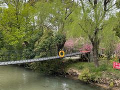 -南汇桃花村