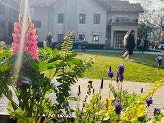 -弗兰克牛排西餐厅Ribone steak house(柠檬花园店)