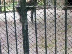 -深圳野生动物园