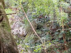 -藏龙百瀑风景区