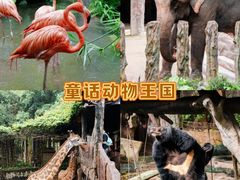 -长鹿旅游休博园