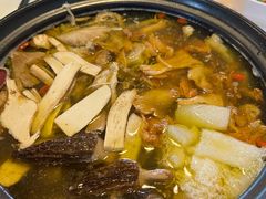 -蘑统田下·野生菌火锅