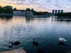 -长春世界雕塑园冰雪艺术天地