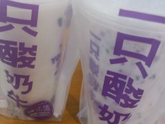 -一只酸奶牛(八一路店)