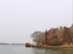 -溱湖国家湿地公园