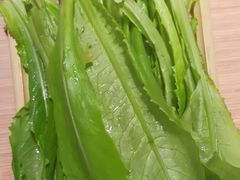 -蝎王府羊蝎子(西直门店)