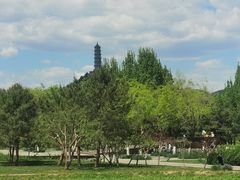 -北坞公园