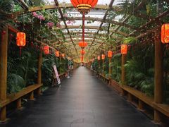 -东方华地城湿地温泉度假区