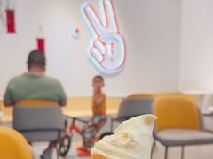 -野人先生现做冰淇淋(北京环宇荟店)