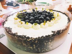 -维尔纳斯·生日蛋糕动物奶油冰淇淋蛋糕(人大店)