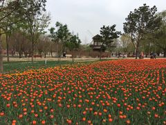 -长春公园(普阳街道)