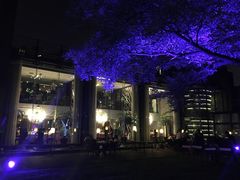 -唐廊烤鸭店(工体店)