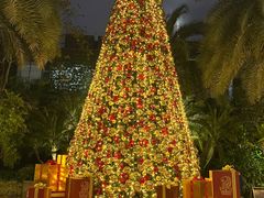 -广州富力丽思卡尔顿酒店