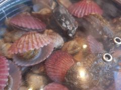 -海味当家·蒸锅海鲜(星海公园店)