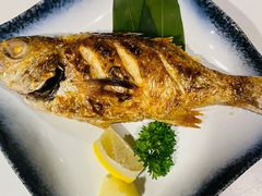 吼黑鱼-慢走(甜水园店)