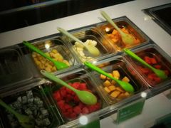 -Salud撒露欧洲冻酸奶(798艺术区店)