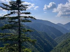 -凤凰山国家森林公园