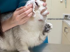 -爱诺耐芙动物医院(万博店)