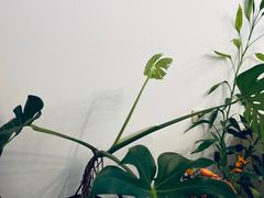 -T11生鲜超市(朝阳公园店)