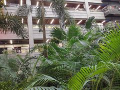 -黑龙江中医药大学附属第一医院