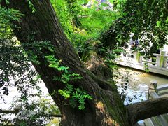 -汇龙潭