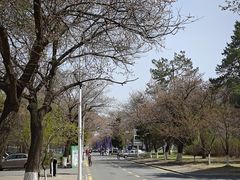 -吉林大学(南岭校区)