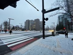 -札幌电视塔