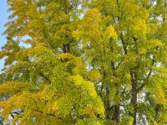 -北京石刻艺术博物馆(五塔寺)