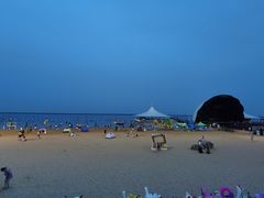 -碧海金沙