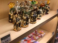 -Belice Chocolate Kingdom