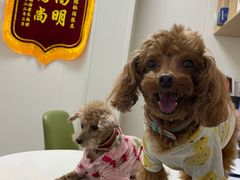-美联众合动物医院(唯恩分院)