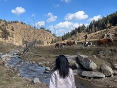 -芦芽山旅游度假区
