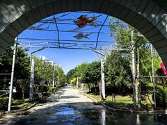 -南宫五洲植物乐园