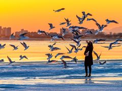 -老虎石海上公园