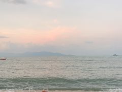 -Coco Tam’s