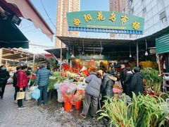 -曲阳花鸟市场(曲阳路店)