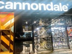 -上海魅力单车cannondale