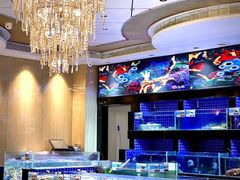 -粤珍轩.创始店.始于2001(含光门店)
