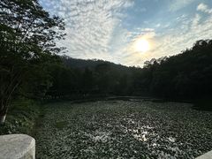 -番禺大夫山森林公园