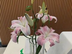 -艾益生活馆·匠心推拿·精油·足道(海岸城店)