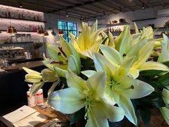 -Apollo·西班牙小酒馆(安福路店)