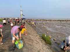 -南汇嘴观海公园