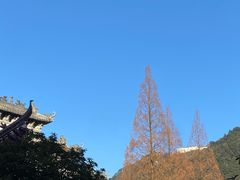 -九华山风景区
